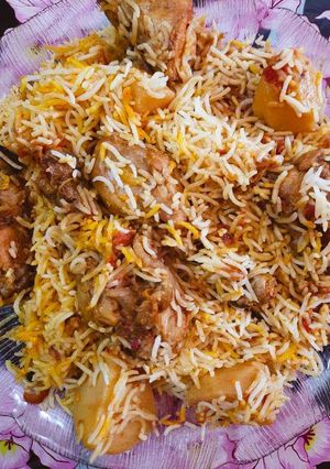 A picture of Chicken Biryani.