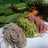 Mie mentah home made VERY RECOMMENDED