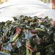 Those good collard greens!