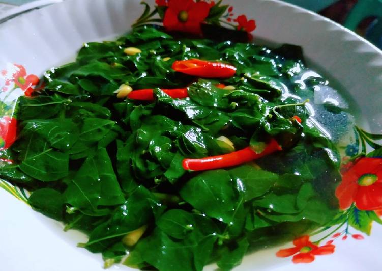 Sayur bening Katuk