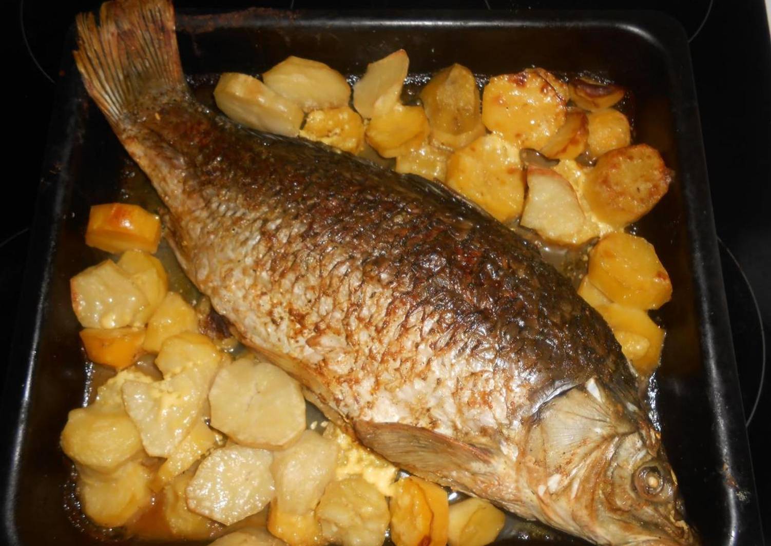Рыба в духовке фото в домашних условиях