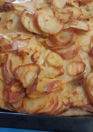 A picture of Potatoes papers.