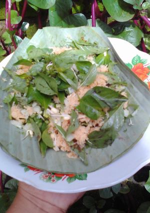 Foto resep Terancamm gagal diett