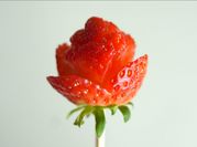 A picture of strawberry flowers