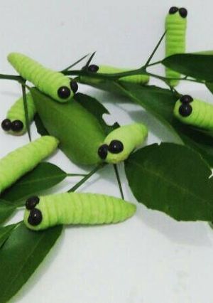 Foto resep Cookies Ulat