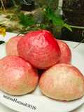 Bakpao