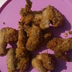 A picture of Home made hot fried wings.