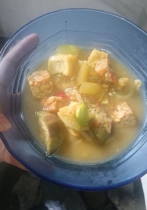 Foto resep 74. Sayur Lodeh Manisa Cecek
