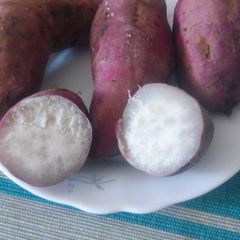 Boiled sweet potatoes A picture of Boiled sweet potatoes.
