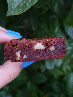 Una foto de Brownie