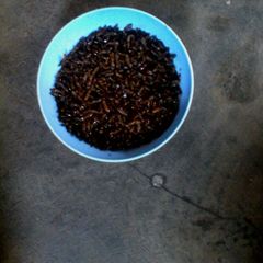 A picture of Majeje.