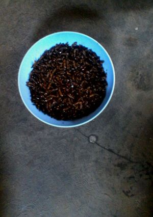 A picture of Majeje.