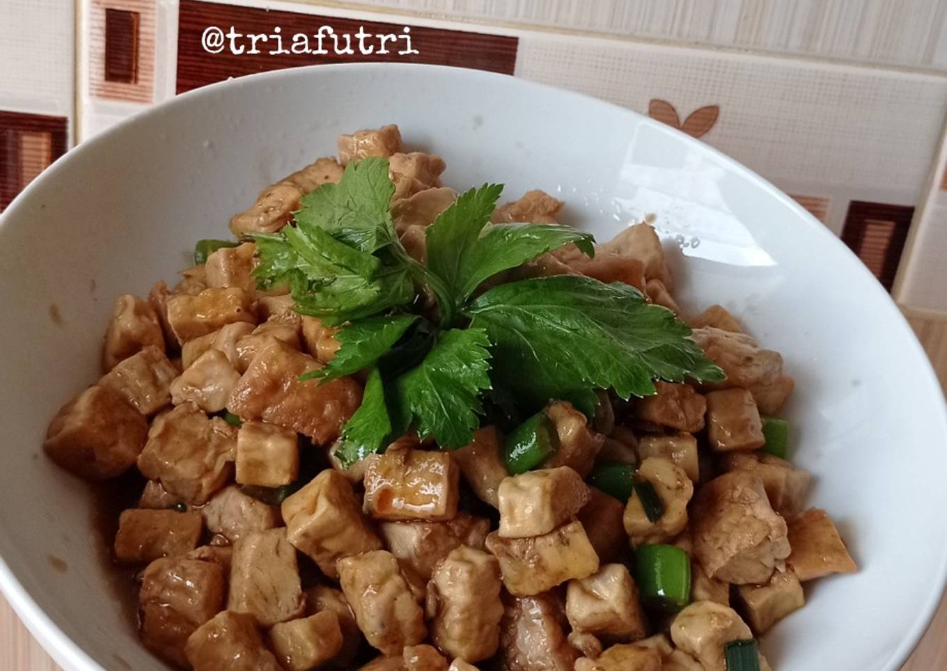 Tempe Tahu Simple