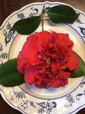 California Farm Valentines Dinner