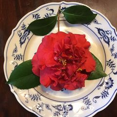 A picture of California Farm Valentines Dinner.