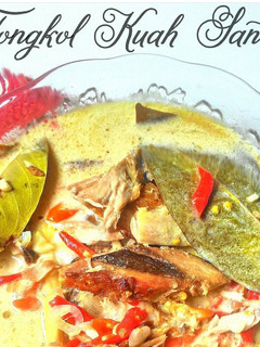 Foto resep Tongkol Kuah Santan (Dengan Fibercreme)