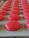 Macarons rellenos de frosting de queso de cabra