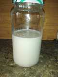 Bebida o leche de coco