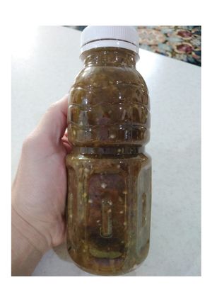 عکسی از دستور ترشی ناز خاتون