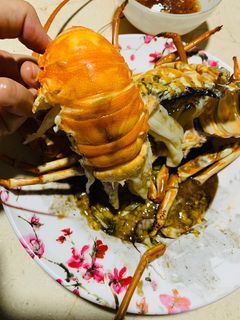 Hình của món Tôm hùm hấp.