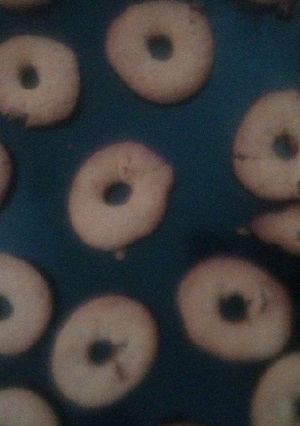 صورة لوصفة حلوى الطابع بالدرع (درعية) 🍪