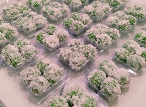 Foto resep Klepon