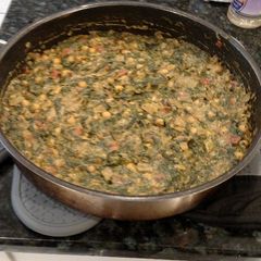 A picture of Krazy Kurland Chana Saag.