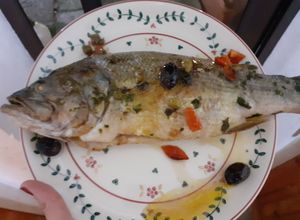Foto di Black bass (o persico trota)