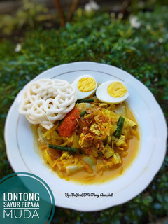 Foto resep Lontong Sayur Pepaya Muda