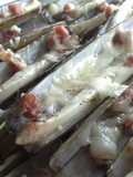 Navajas al horno con San Simón da Costa