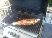 A picture of bbq fish