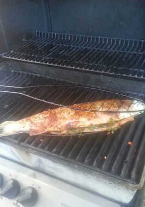 A picture of Caribbean fish - by DW.