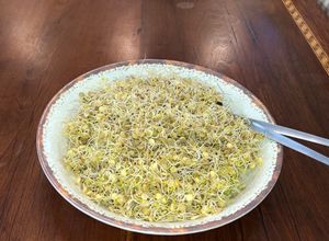 Una foto de Ensalada crudívora de brotes de lentejas
