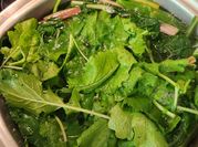 A picture of turnip leaf vegetable