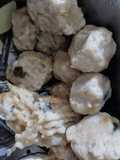 Siomay