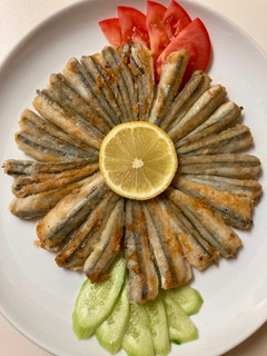 A picture of Silverside Fish/Ikan Teri.