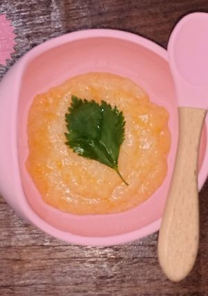 Foto resep MPASI Menu Lengkap 6 bulan Bubur Udang