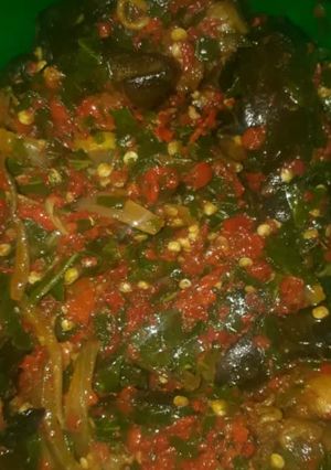 A picture of Peppered snail.