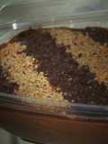 Marquesa de Chocolate para compartir