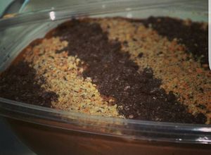 Una foto de Marquesa de Chocolate para compartir