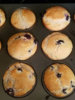 A picture of Blueberry Lemon Muffins.