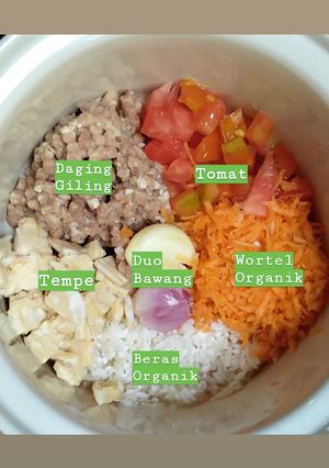 Foto resep MPASI 6 Bulan (Daging giling, tempe, wortel, tomat)