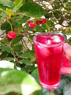 عکسی از دستور آیس تی آلبالو