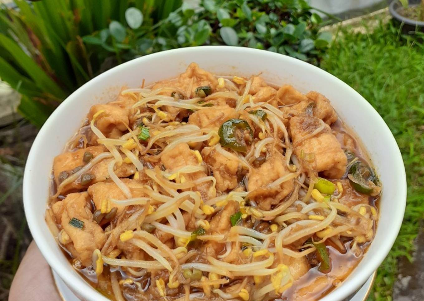 Cah tauge tahu saus tiram