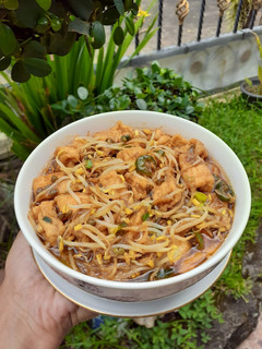 Foto resep Cah tauge tahu saus tiram