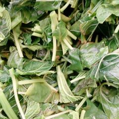 Blanched spinach A picture of Blanched spinach.
