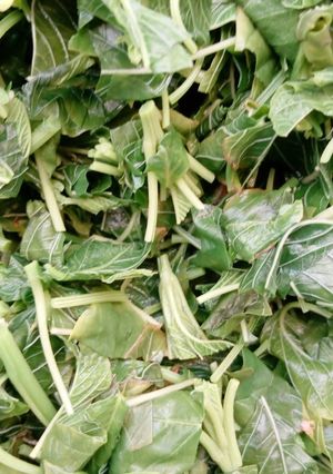 A picture of Blanched spinach.