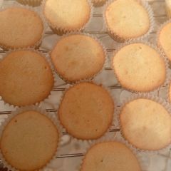 A picture of Vanilla cupcakes.