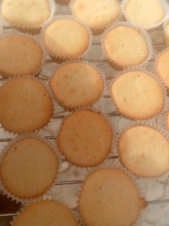 A picture of Vanilla cupcakes.