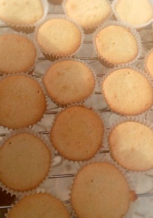 A picture of Vanilla cupcakes.
